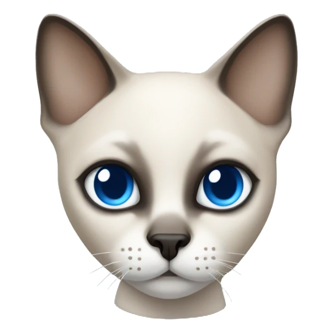 short haired siamese cat with white mask and blue eyes sticker