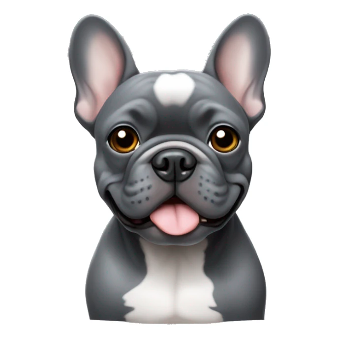 Dark grey French bulldog with light grey eyes  sticker