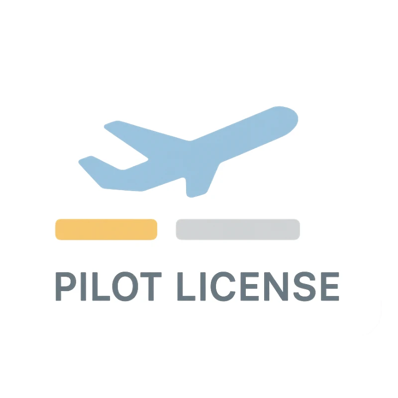 modern sleek pilot license design with minimalist airplane silhouette sticker