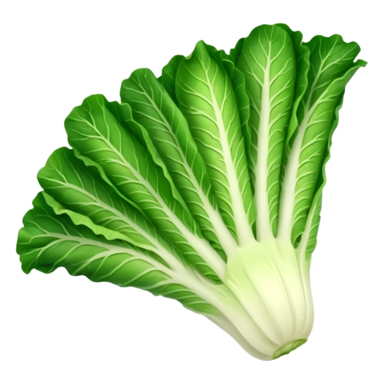 Romaine salad with no tomatoes sticker