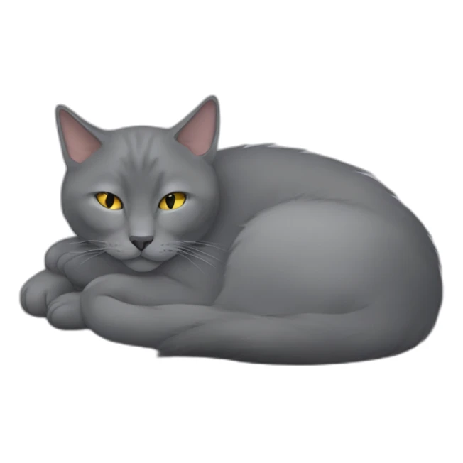 fluffy grey korat breed cat sleeping female sticker
