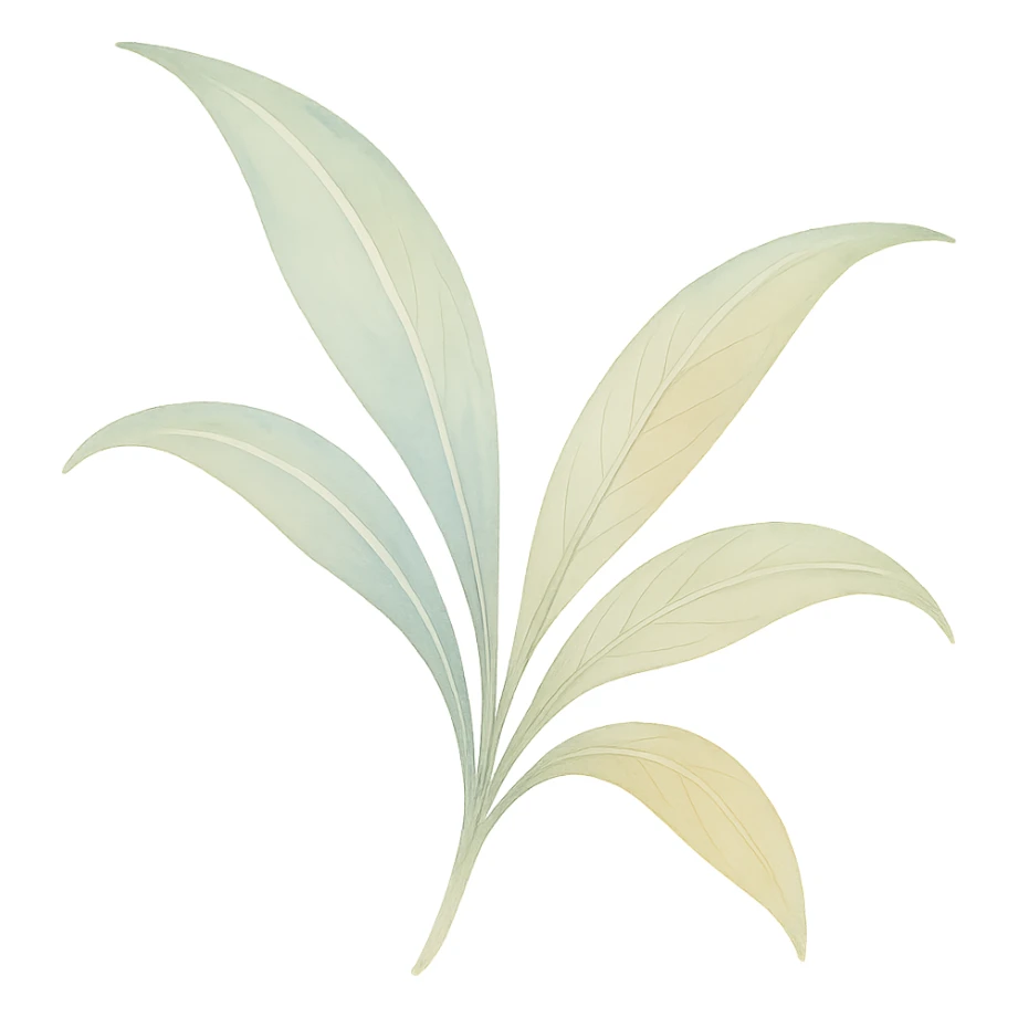 a spider plant leaf with visible veins, watercolor style, delicate brush strokes, soft colors, detailed veins sticker