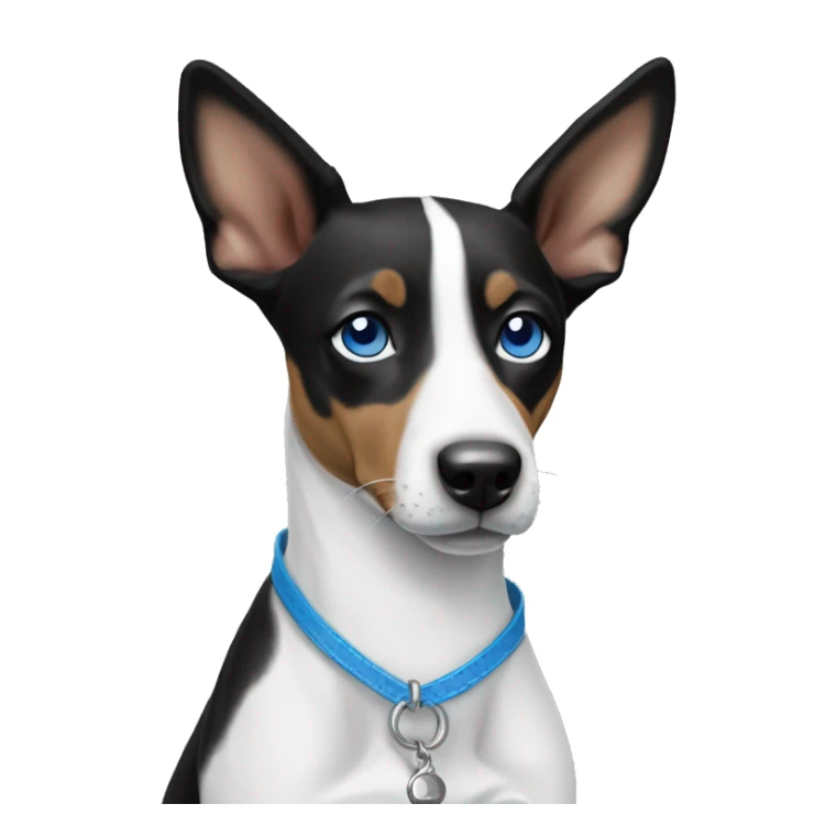 Black and white Basenji dog face with ￼blue eyes sticker