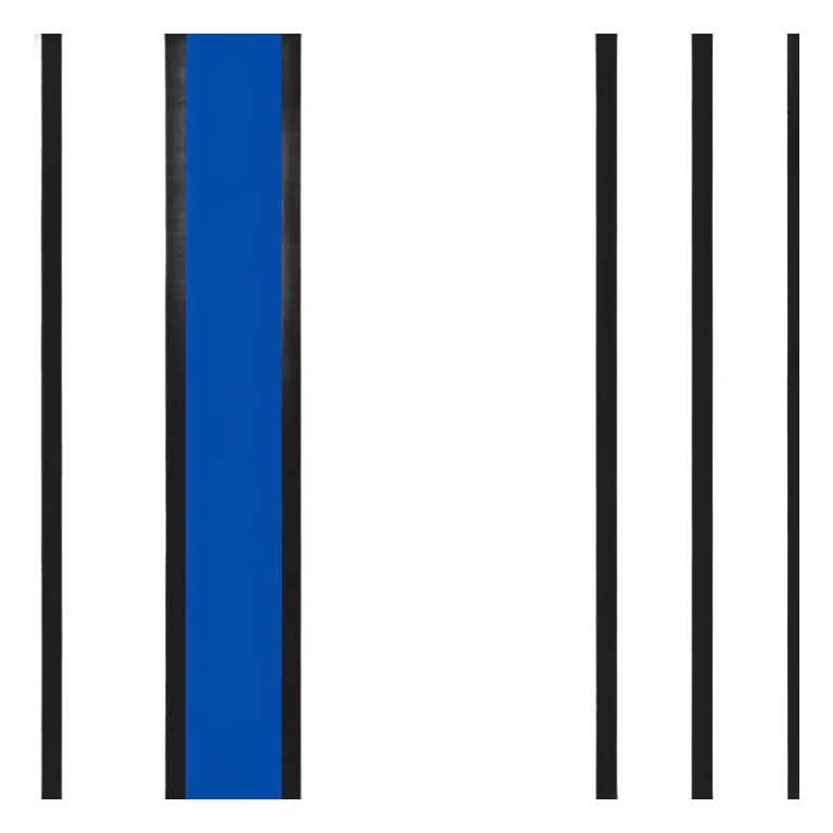 A blue and blag flag like this 🇪🇪 but without the white and a darker blue sticker