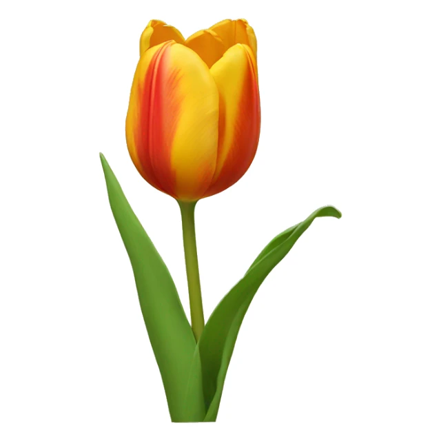 Tulip sticker