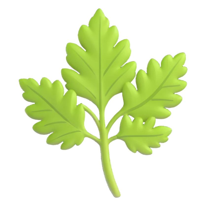 cilantro leaf, clean, minimal, cute, well-lit, soft shadow, white background sticker