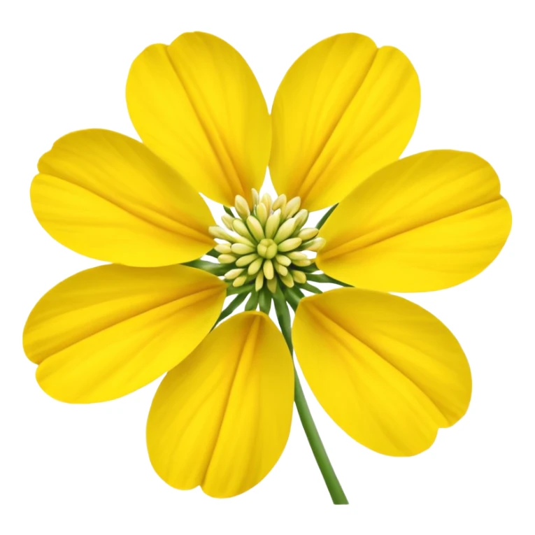 Galbanum flower yellow  sticker