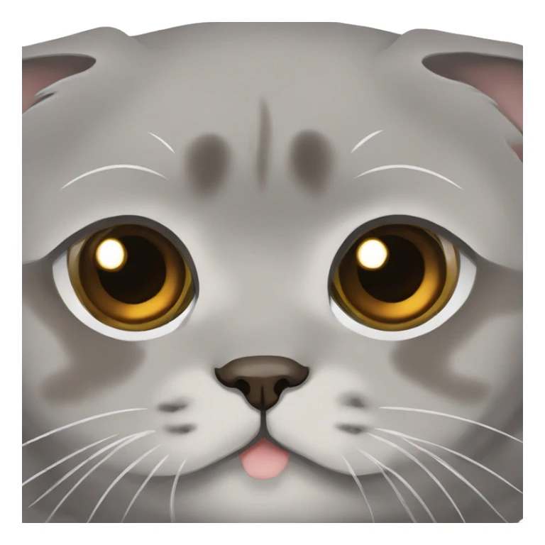 Grey Scottish fold with brown eyes  sticker