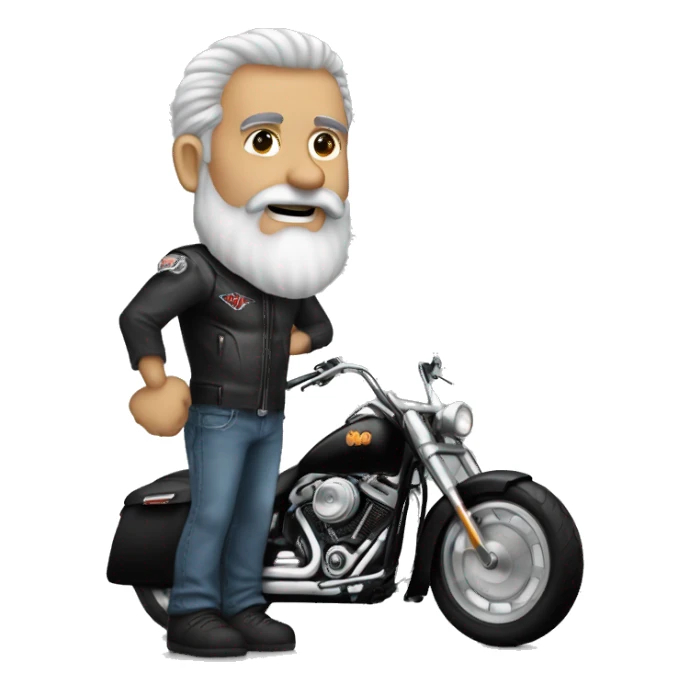 Old Biker grey Beard bo Hair  Harley Chicago sticker