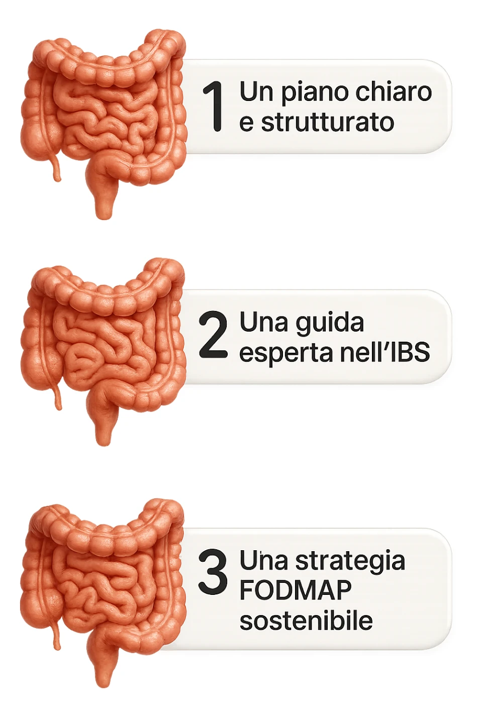 emoji stile iphone di 3 targhette numerate con intestino realistico davanti ad ogni targhetta, le targhette sono:
"1 – Un piano chiaro e strutturato
2 – Una guida esperta nell’IBS
3 – Una strategia FODMAP sostenibile"
, iperrealistico 4k sticker