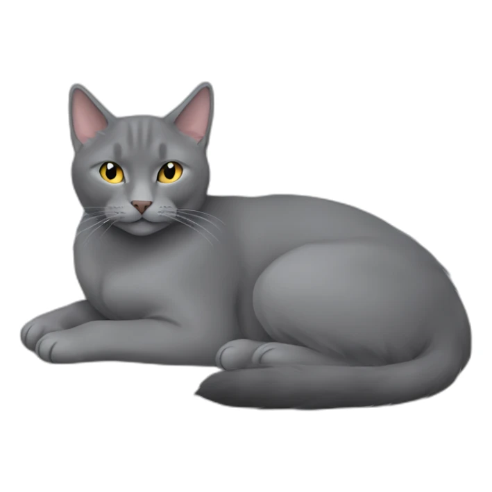 fluffy grey korat breed cat sleeping female sticker