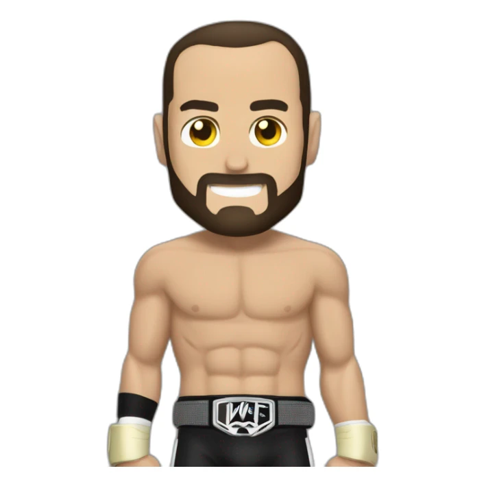 Cm punk have a WWE belt sticker