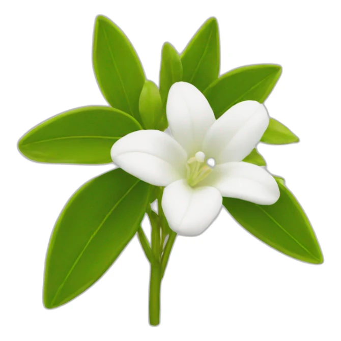  jasminum Flower sticker