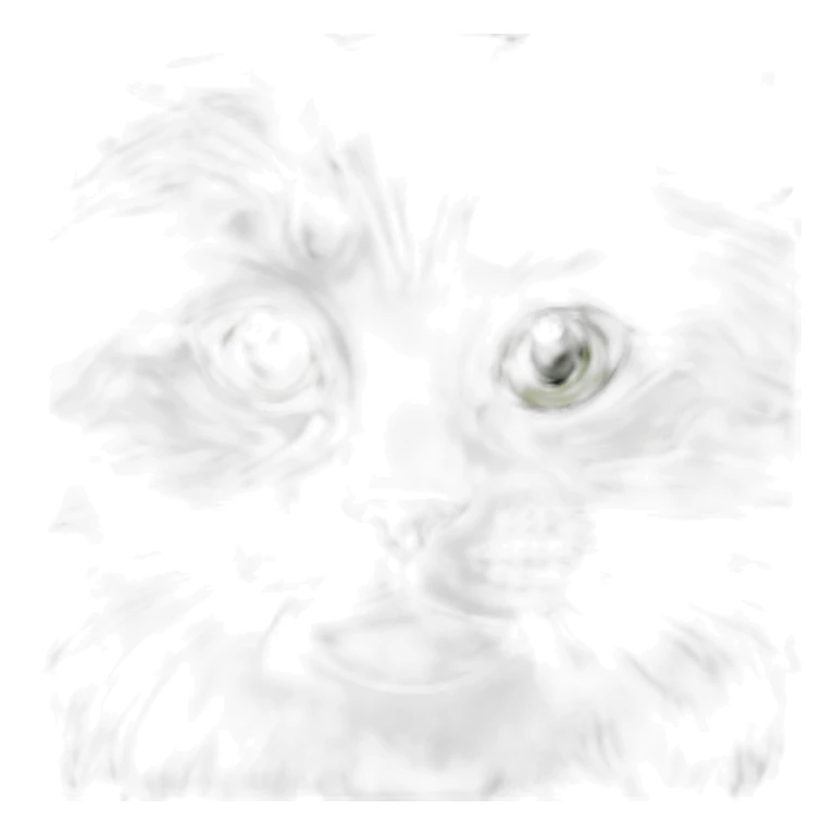 Maine coon cat with grey and White strips and light Green eyes sticker