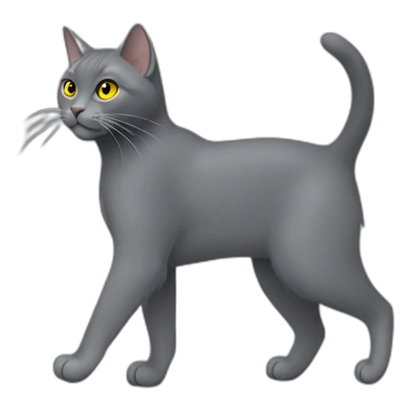 cuddly fluffy grey korat breed cat with yellow eyes black pupils, walking and playing female sticker