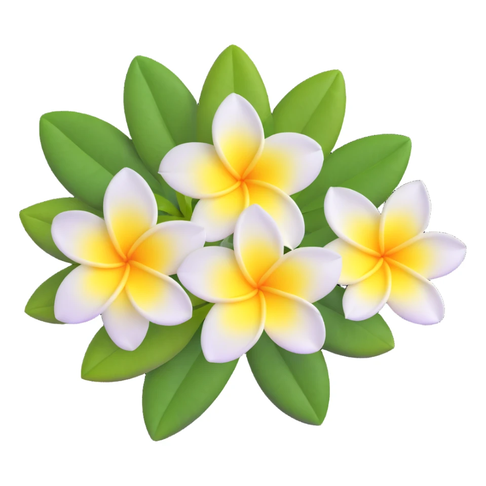 plumeria flower with five white petals and yellow center sticker