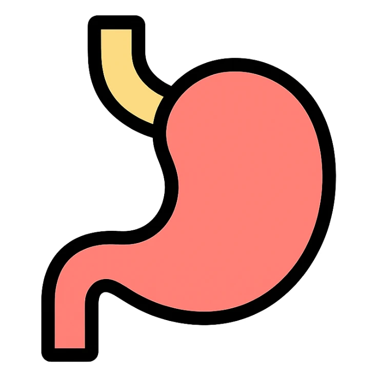 stomach color outline icon style sticker
