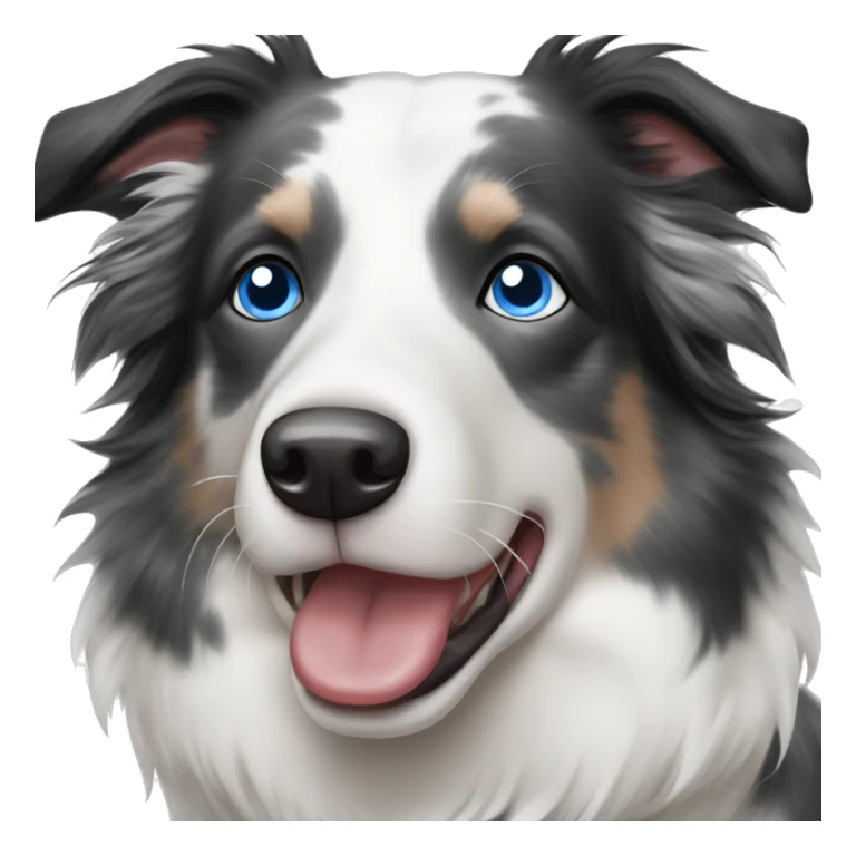 Blue eyes Seal merle Border collie sticker