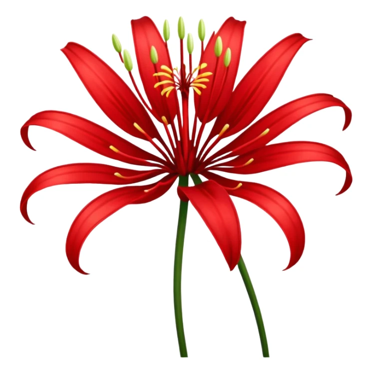 Red spider Lily flower sticker