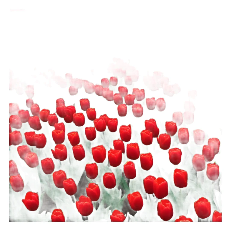 background composed of red tulips sticker