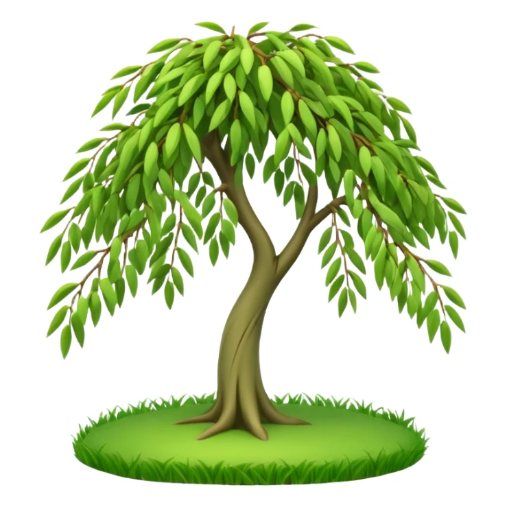 A 3D cartoon willow tree with drooping green branches over soft grass, natural sunlight, Memoji-style rendering. sticker