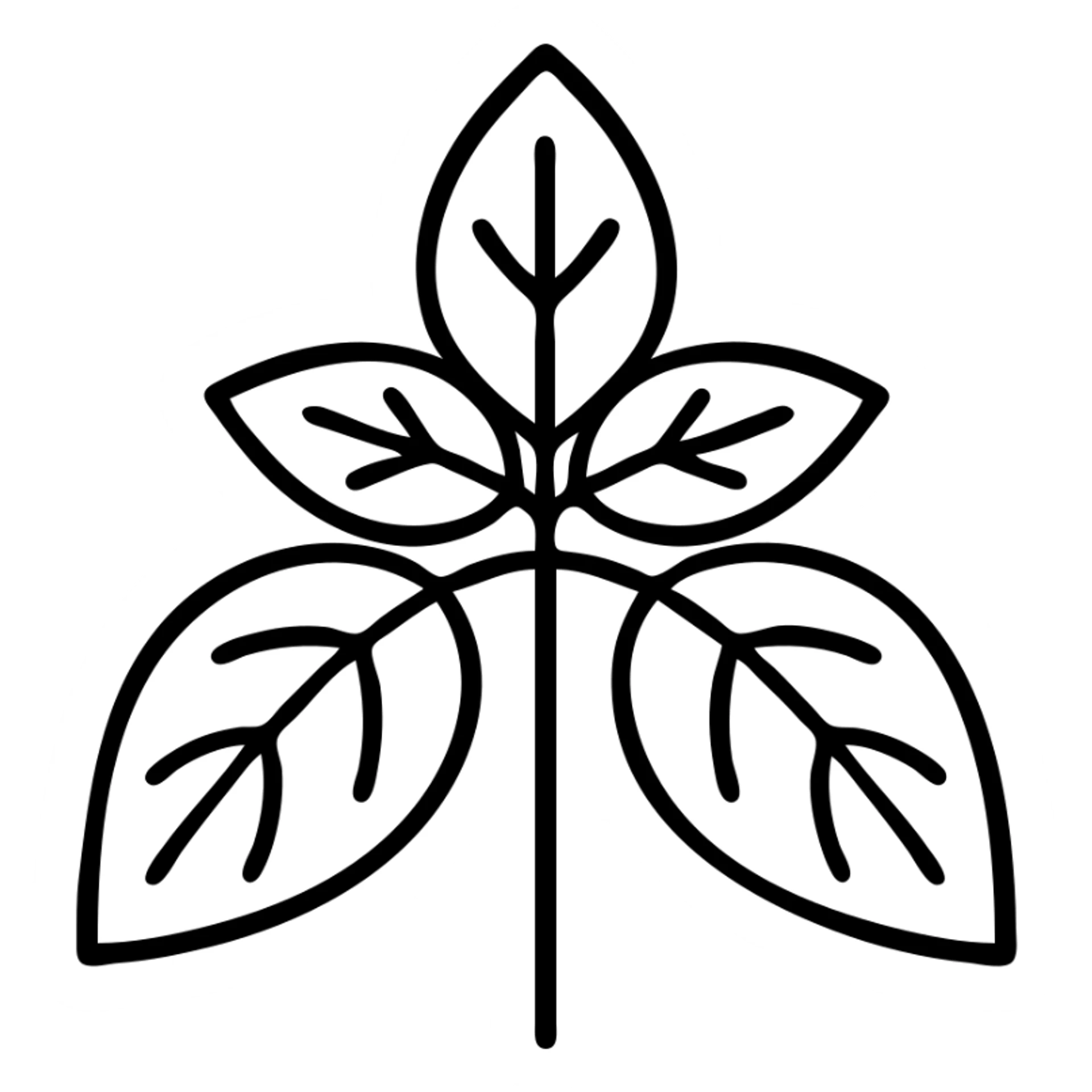 Basil herb with detailed leaves, clean vector outline sticker