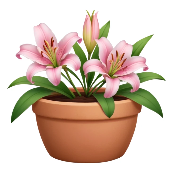 light pink lily flowers in a clay pot sticker