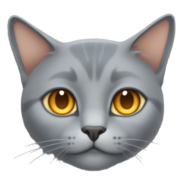 Grey cat breed blue Brit. He has orange eyes and small, dark grey lines on his tail. The cat is fat. The cat is sleeping sticker