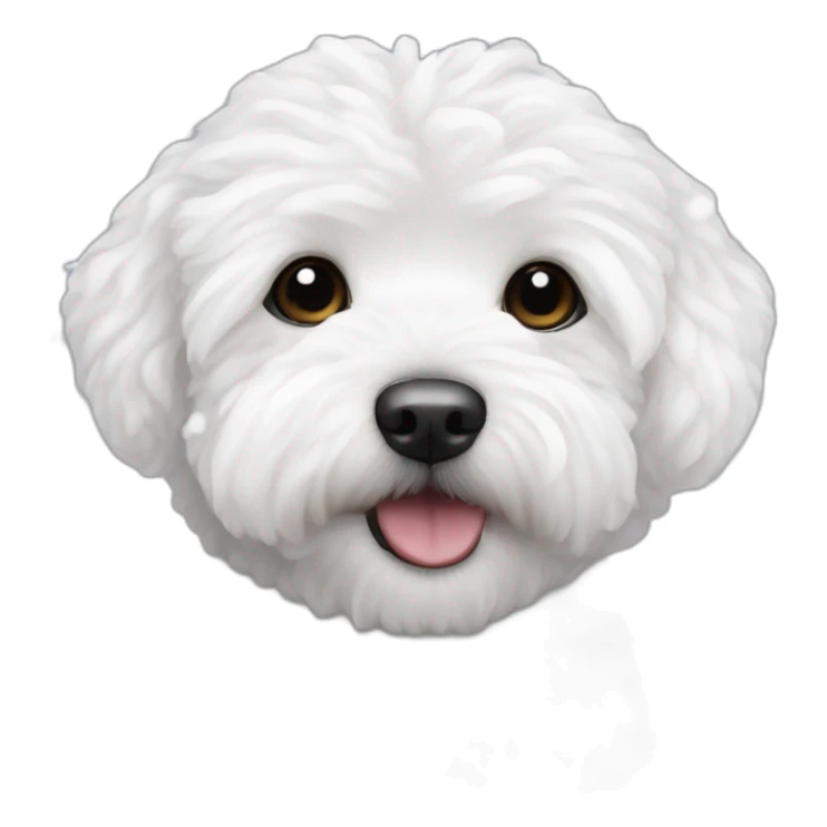white maltipoo in the winter, having snow on the nose sticker