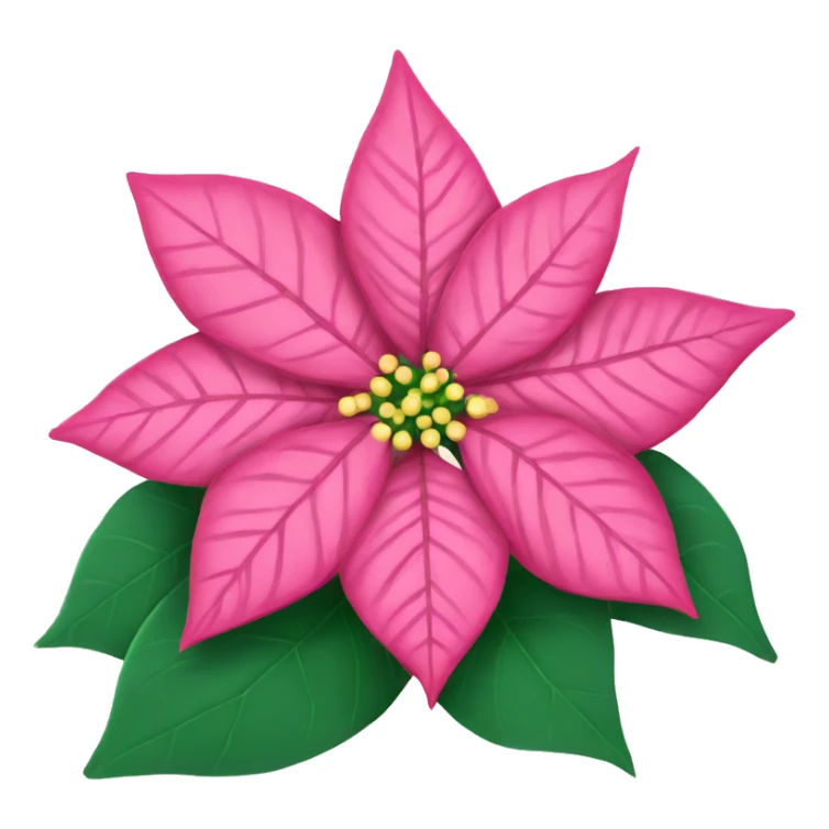 Pink Christmas poinsettia  sticker