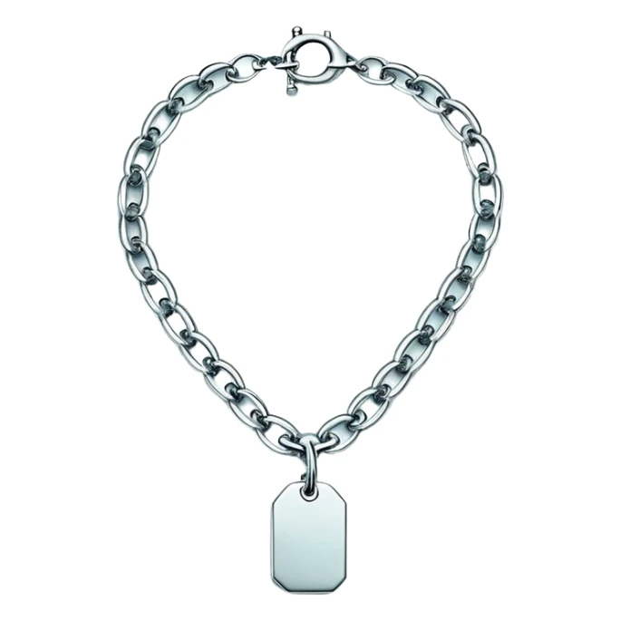 Tiffany big chain silver tag choker necklace “return to Tiffany” sticker