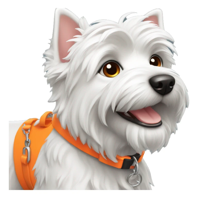 A Westie dog smiling with a neon orange collar sticker