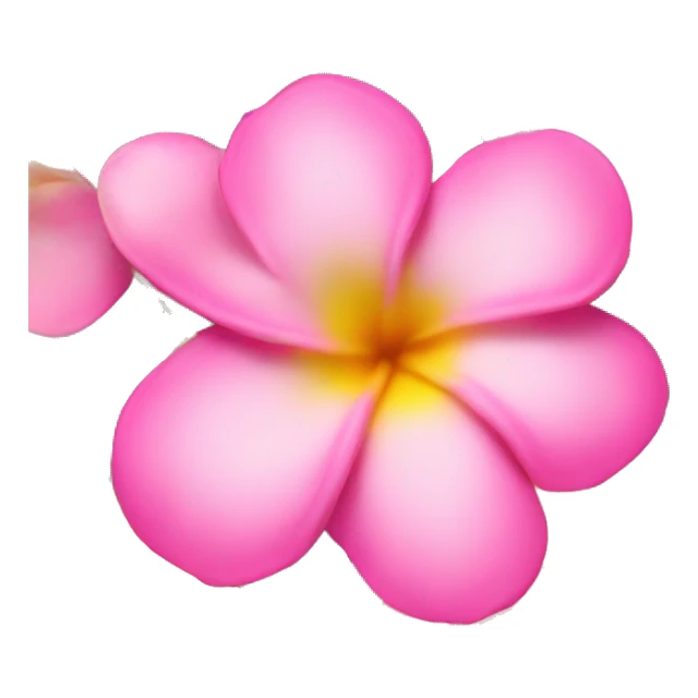 bouquet of pink fading into yellow plumerias  sticker