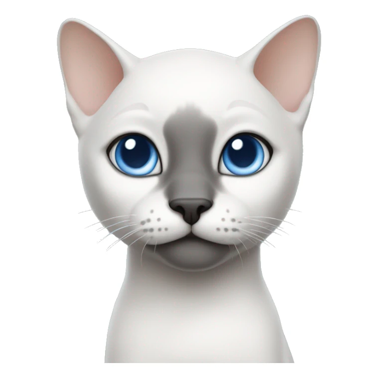 bald cat with fine undercoat, large blue eyes, gray color, black nose and one part of the muzzle is white, white paws, small sticker