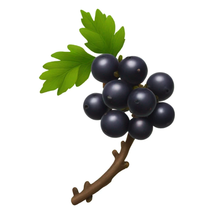 a bunch of little black berries on a branch sticker