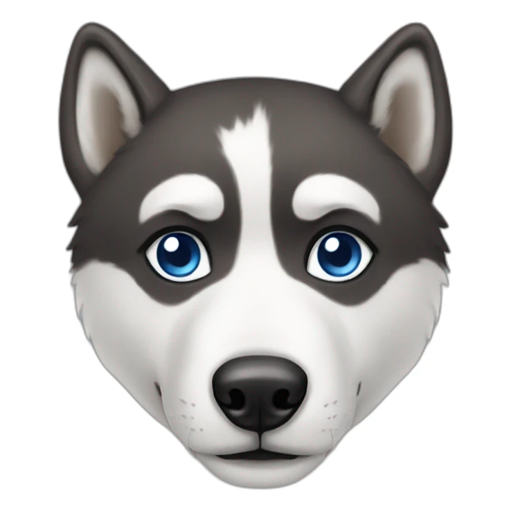 A Husky with one bleu eye and brown sticker