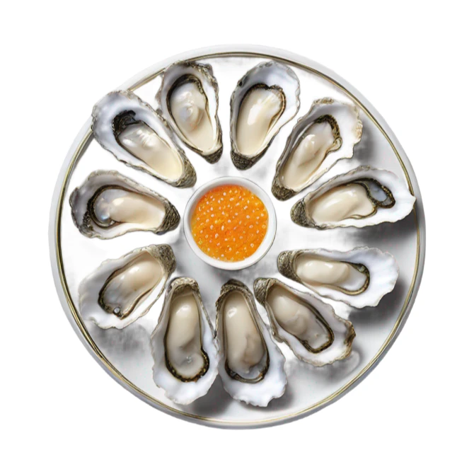 Display of oysters, Kaviar and white powder in lines  sticker