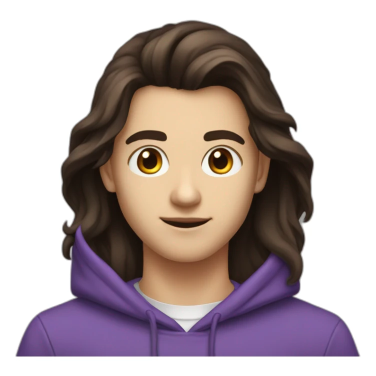 Kirill-dark-hair-programmer-16-yo-violet-hoodie-brown-eyes sticker