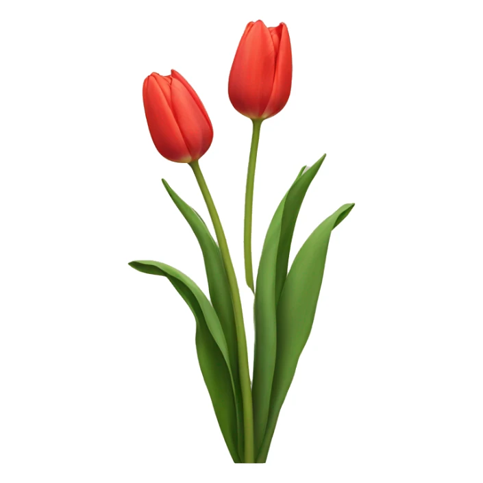 Tulips  sticker