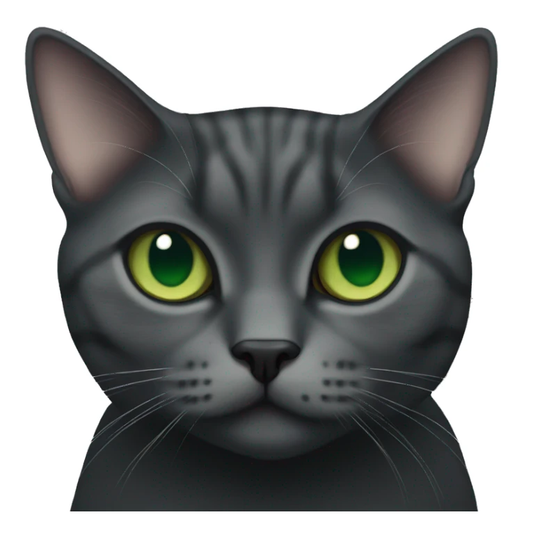 British short hair cat in black with green eyes  sticker