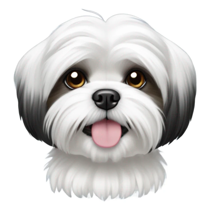 black and white shih tzu maltese dog with underbite sticker