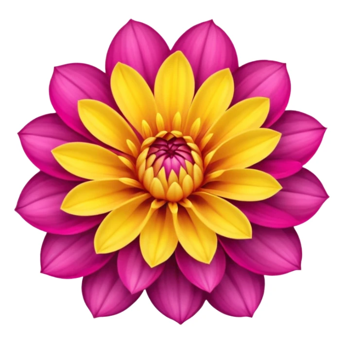 dahlia flower, pink and yellow petals, no text sticker