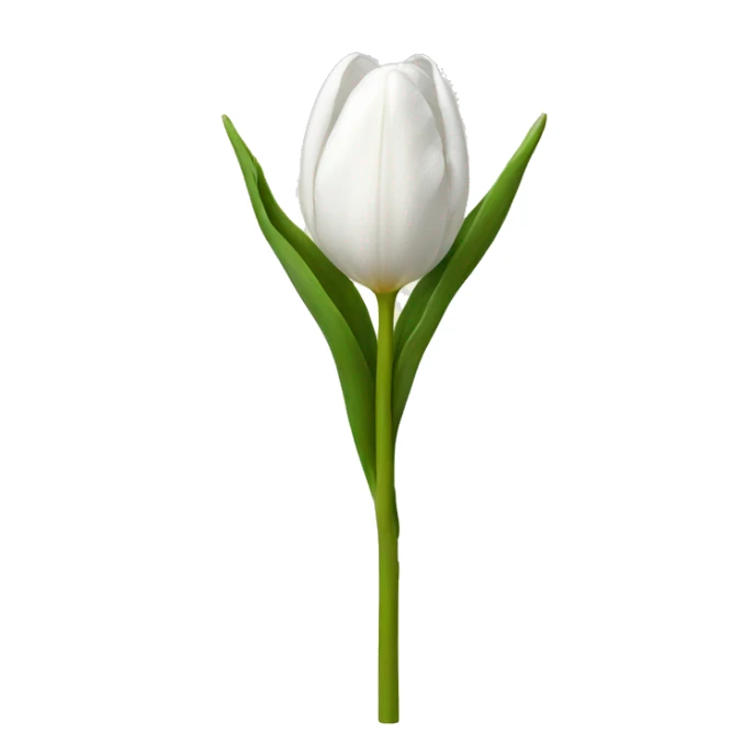 White tulip sticker