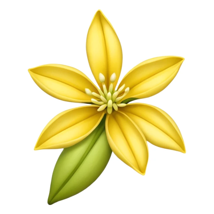 ylang ylang flower little closed sticker
