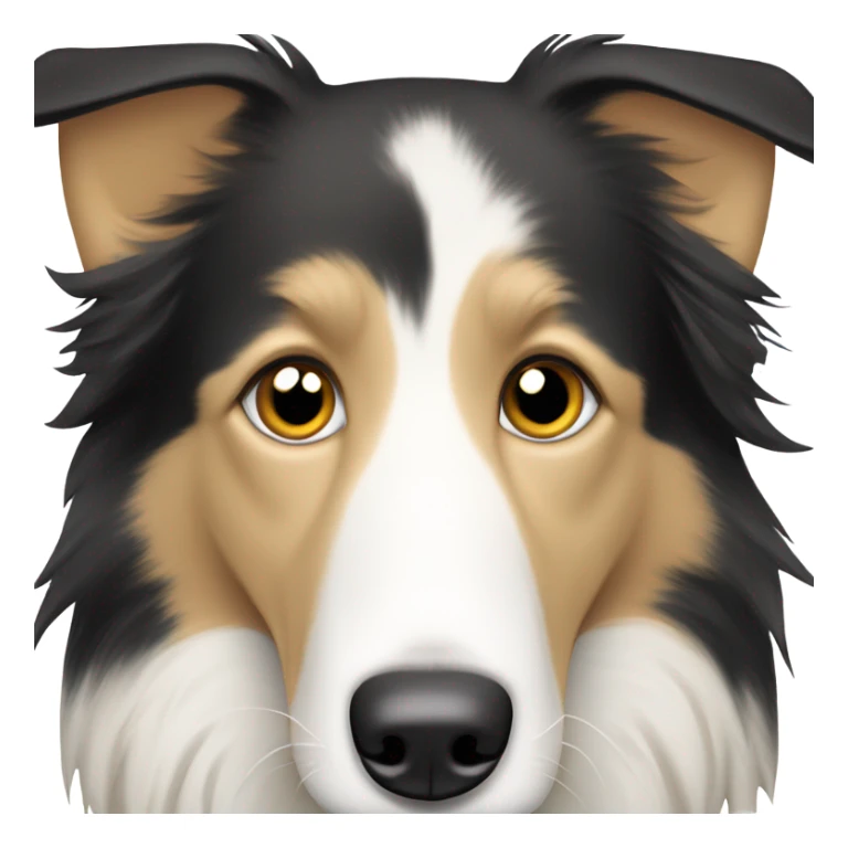A sand and white border collie with falling ears and short hair  sticker