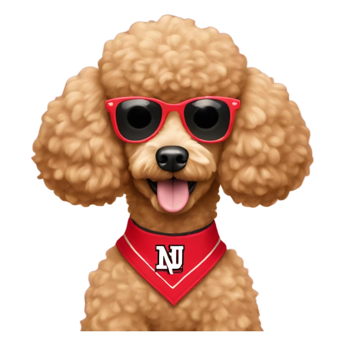 Apricot Poodle wearing a Cornhusker jersey and sunglasses  sticker