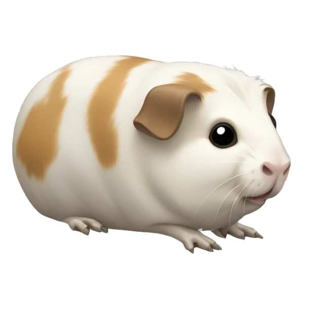 skeleton of a guinea pig sticker