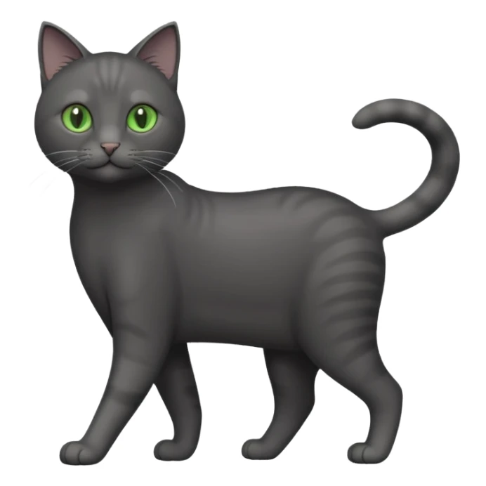 full body gorgeous solid dark grey cat with green eyes, white paws and white whiskers walking sticker