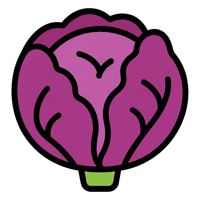 color outline icon of red cabbage with clean lines and minimal color sticker