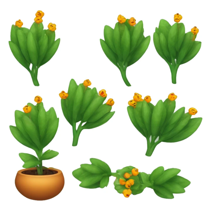 Create an emoji of a plant with a thin, slightly hairy green stem and oval, dark green, serrated leaves in opposite pairs. Add small greenish-yellow star-shaped flowers and round, reddish-orange berries at the leaf axils. sticker